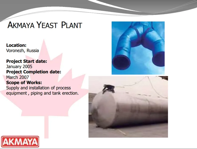 Industrial project